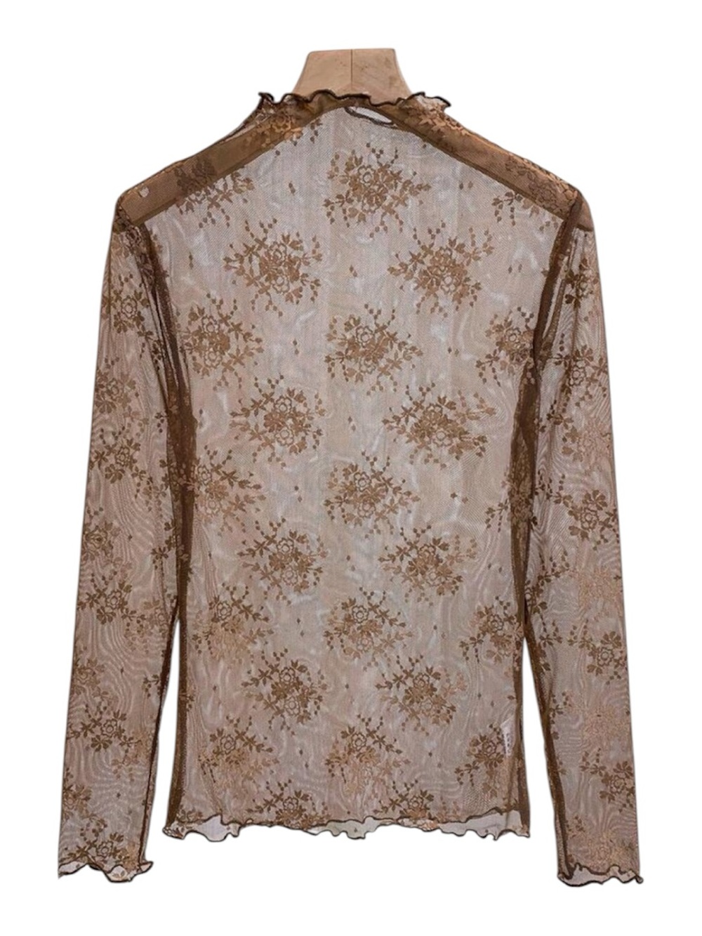 Sheer Lace Floral Long-Sleeve Top - coffee Brown